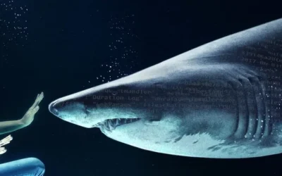 Security – Do You Know Your Digital Risk?