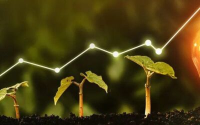 What is a Sustainable Business?