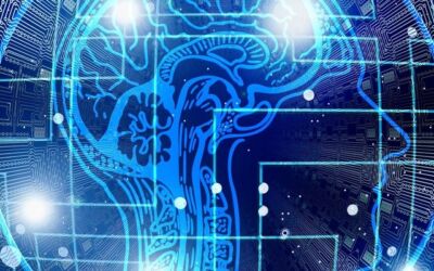 Why businesses Need to Prioritize Trust