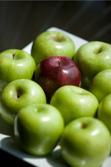 Stand Out-05 law office